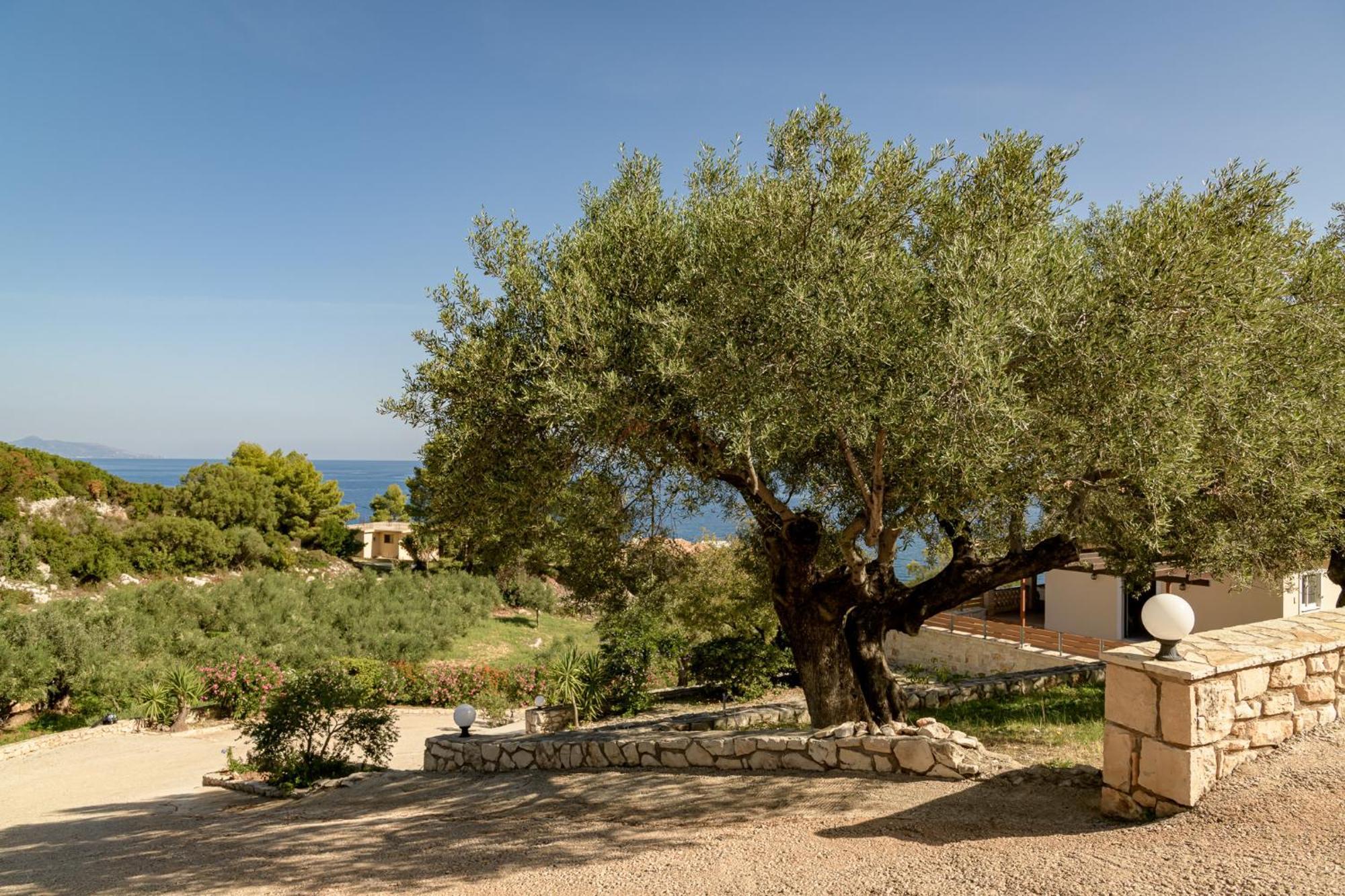 Villa Mare Studios Skinária Dış mekan fotoğraf